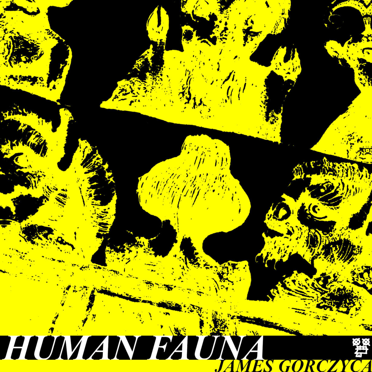 HUMAN FAUNA